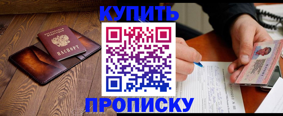 прописка 2025 в Елизово