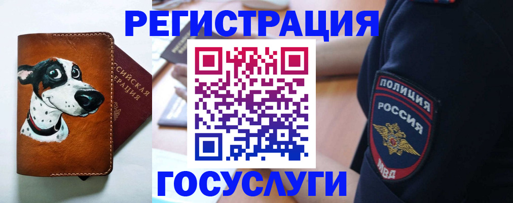 временная регистрация в квартире в Елизово